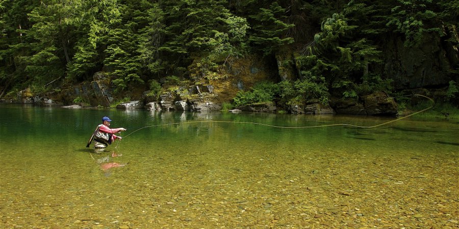 Angler fly fishing the Coeur d'Alene river near Spokane Washington on a guided fly fishing tour. 