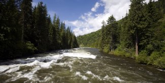 A wavy section of the Lochsa river in Idaho.